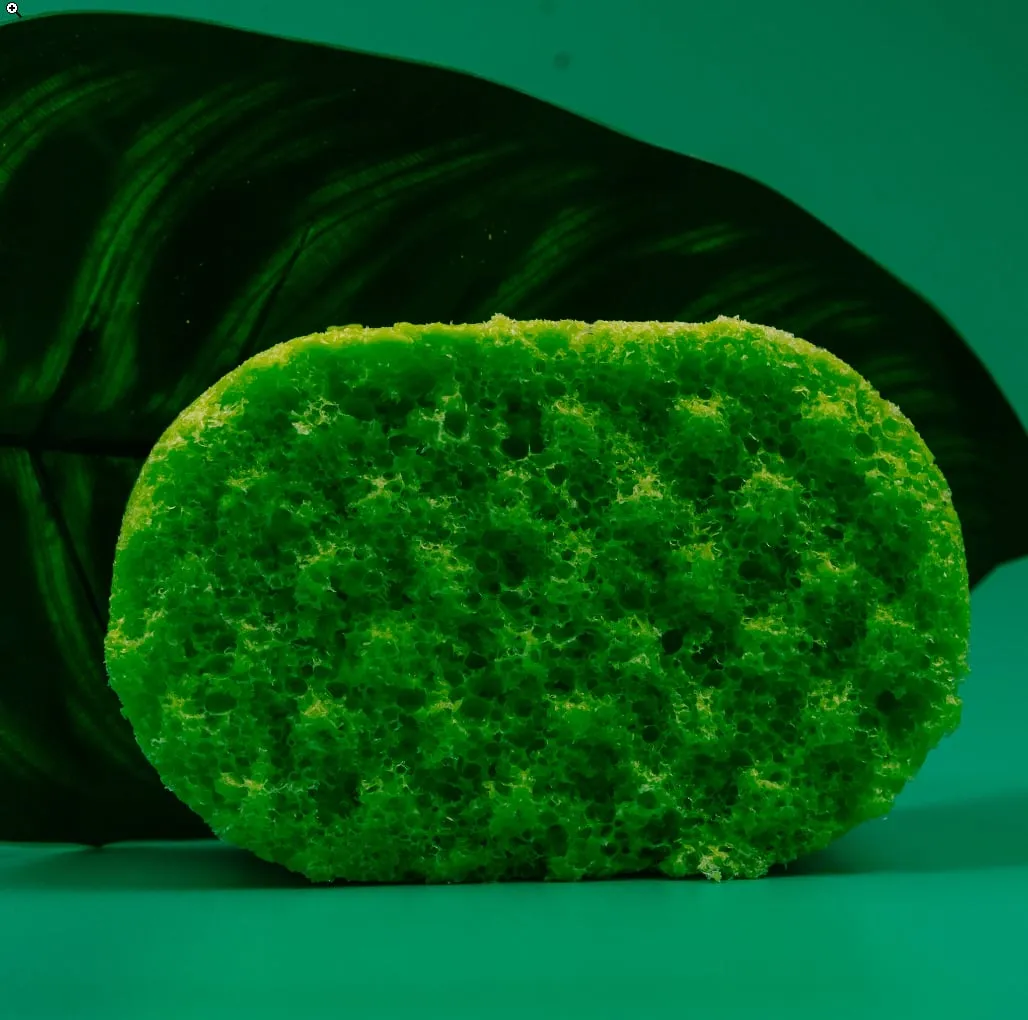Fragranced Soap Sponges