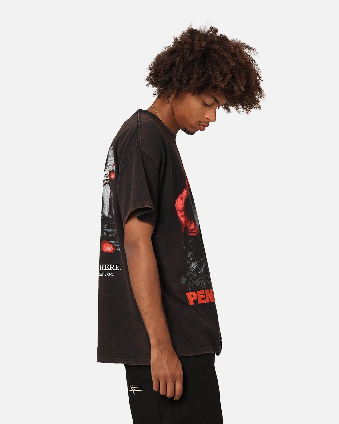 Goat Crew X Warner Bros. Entertainment Pennywise Face Vintage T-Shirt Black Wash