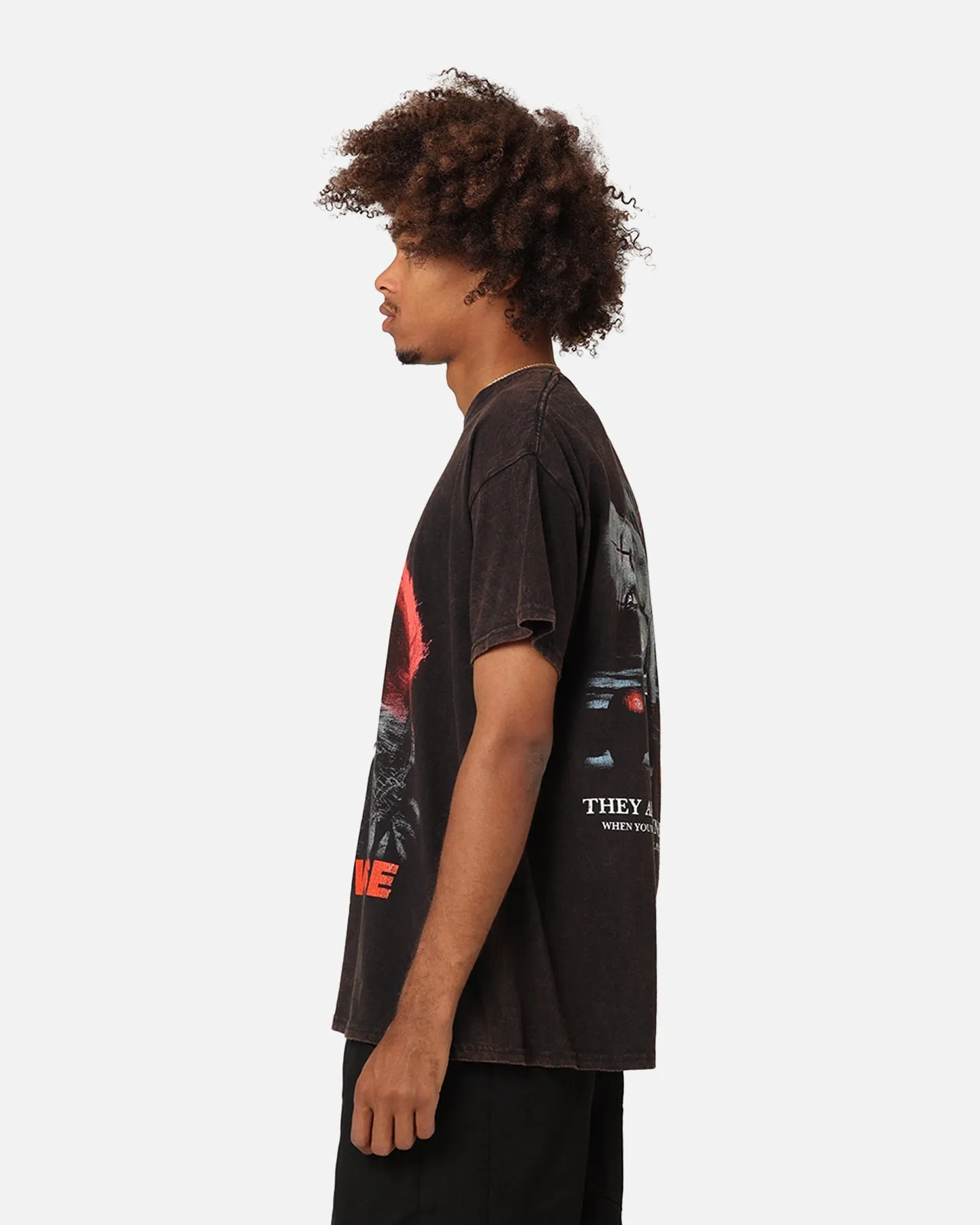 Goat Crew X Warner Bros. Entertainment Pennywise Face Vintage T-Shirt Black Wash